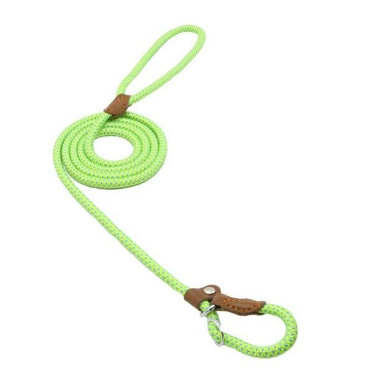 Everyday Collar & Leash Set