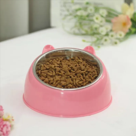 Tilted Double Food & Water Bowl