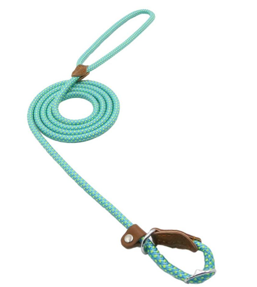 Everyday Collar & Leash Set
