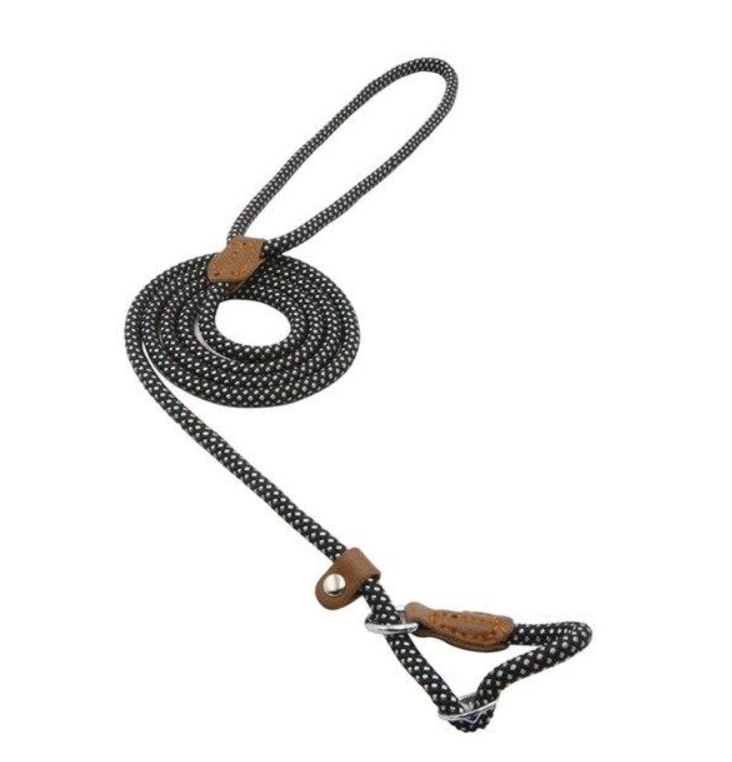 Everyday Collar & Leash Set