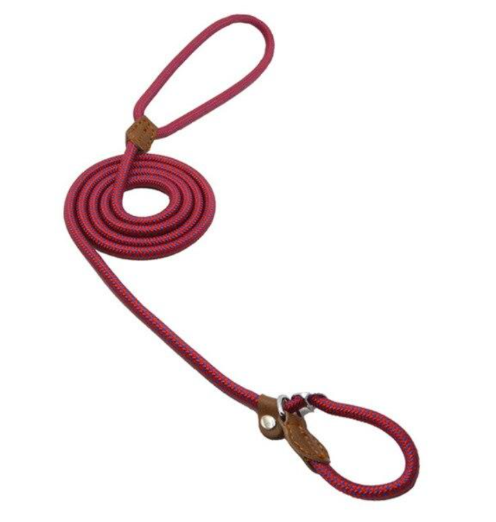 Everyday Collar & Leash Set