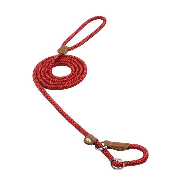 Everyday Collar & Leash Set