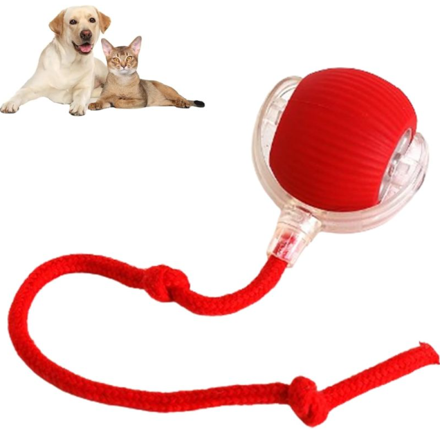 Auto-Rolling Chase Ball
