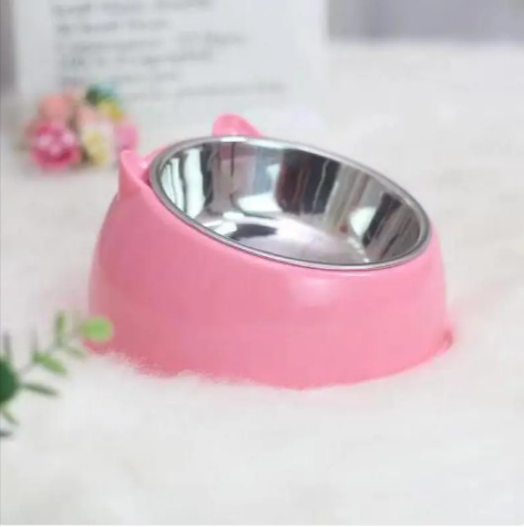 Tilted Double Food & Water Bowl