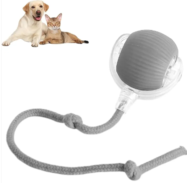 Auto-Rolling Chase Ball